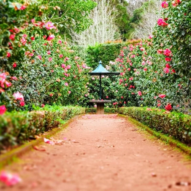 Ornamental & Landscape Plants